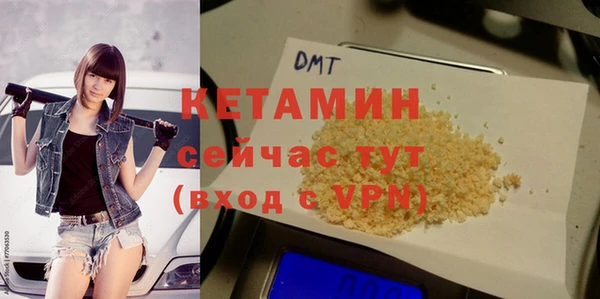 дмт Алзамай